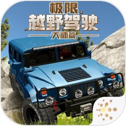 股